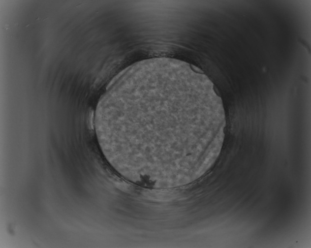 X0000103240041200809251338