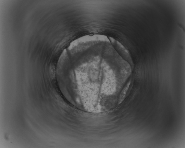 X0000103240043200809251338