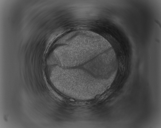 X0000103240049200809251337