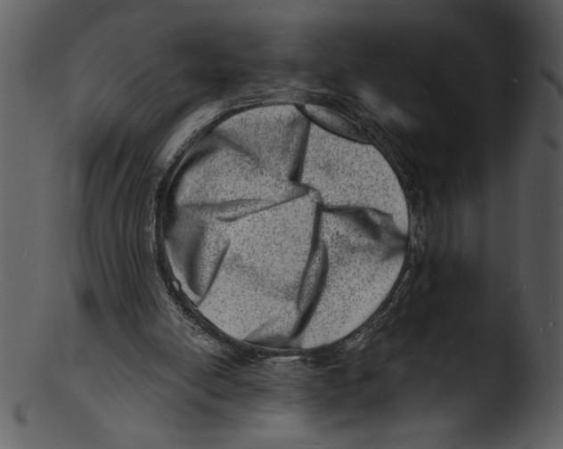 X0000103240054200809251337