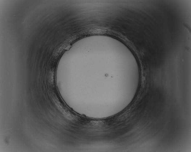 X0000103240057200809251337