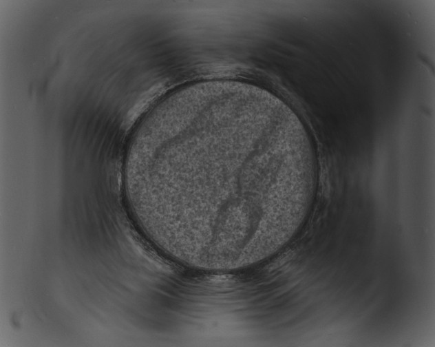 X0000103240059200809251337