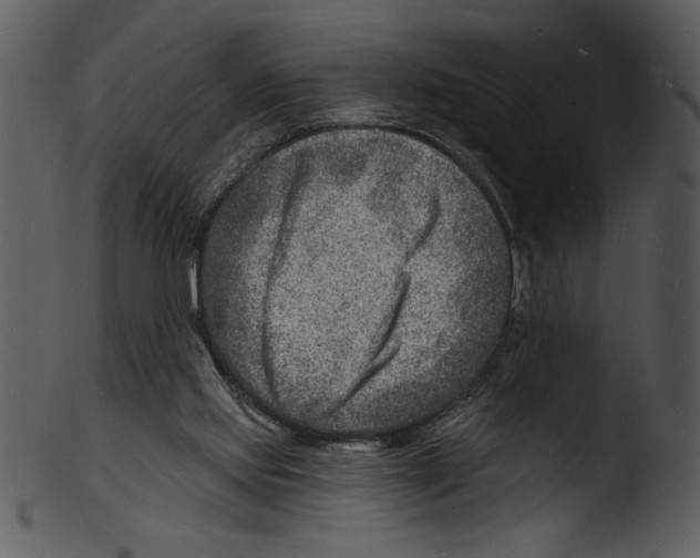 X0000103240061200809251337