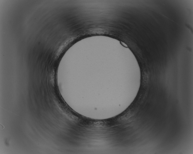 X0000103240064200809251337