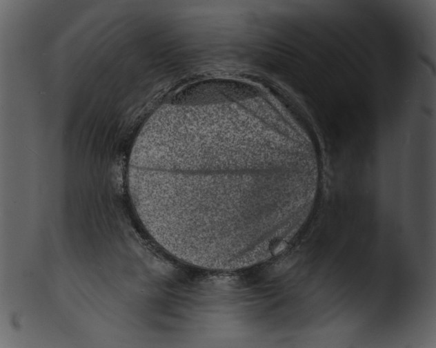 X0000103240065200809251337