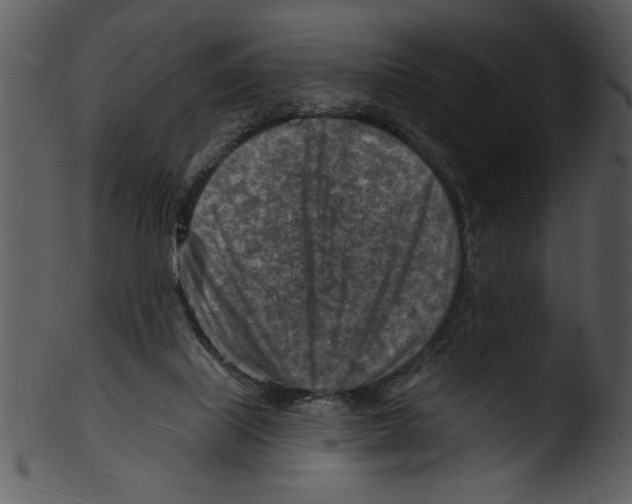 X0000103240067200809251337