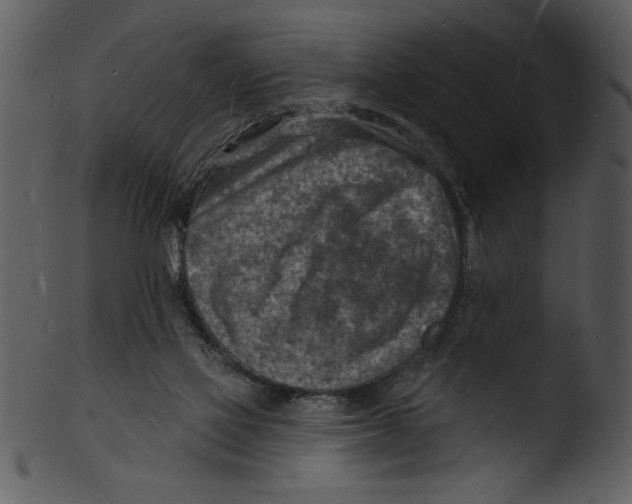 X0000103240069200809251337