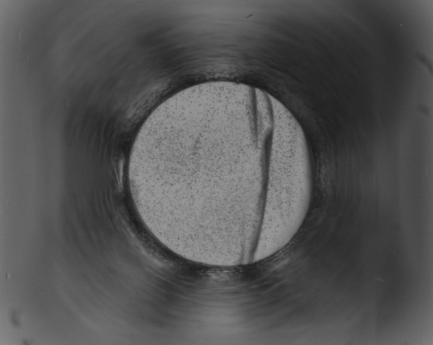 X0000103240070200809251337