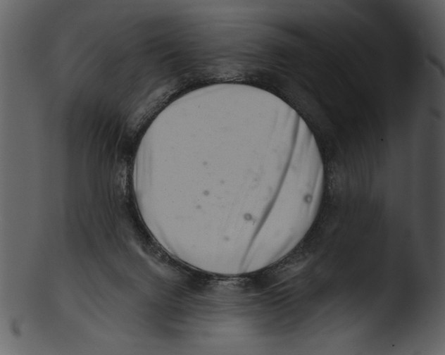 X0000103240072200809251337