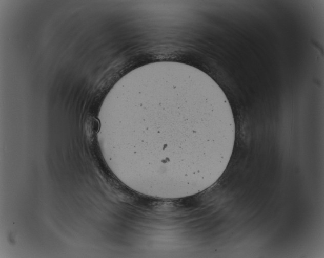 X0000103240074200809251337