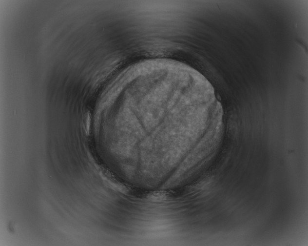 X0000103240076200809251337