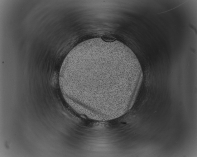 X0000103240077200809251337