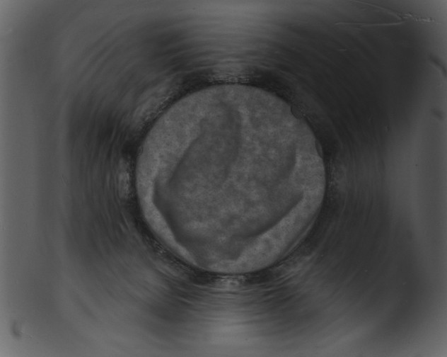 X0000103240080200809251337