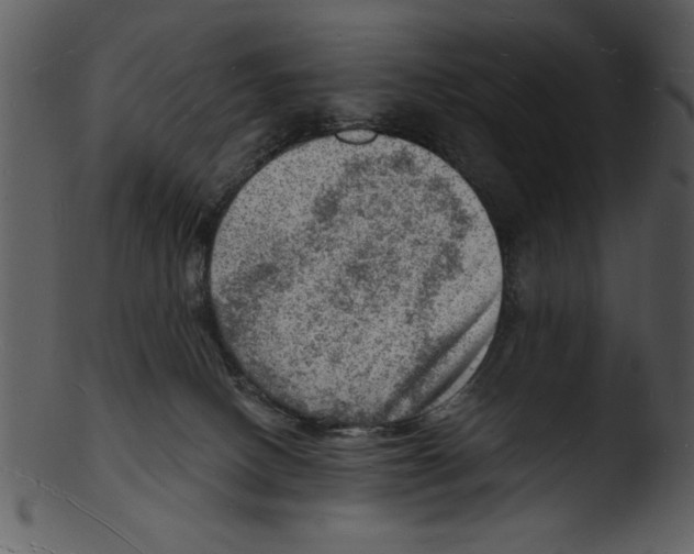 X0000103240082200809251337