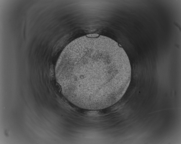 X0000103240085200809251337