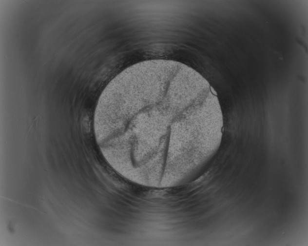 X0000103240086200809251338