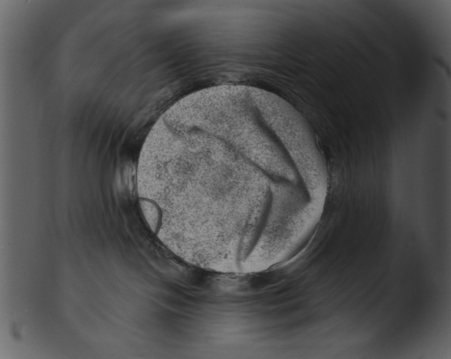 X0000103240094200809251338