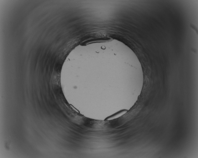 X0000103240096200809251338