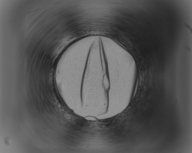 X0000103240098200809251337