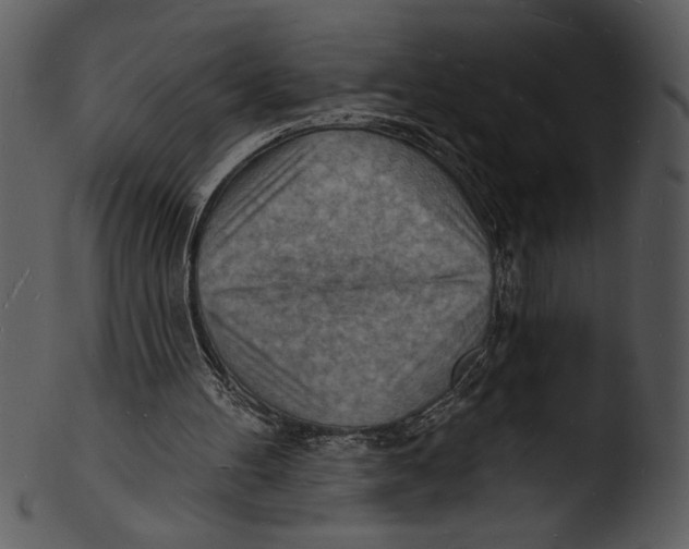 X0000103240100200809251337