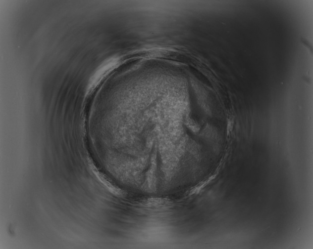 X0000103240101200809251337