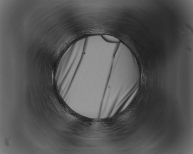 X0000103240109200809251337