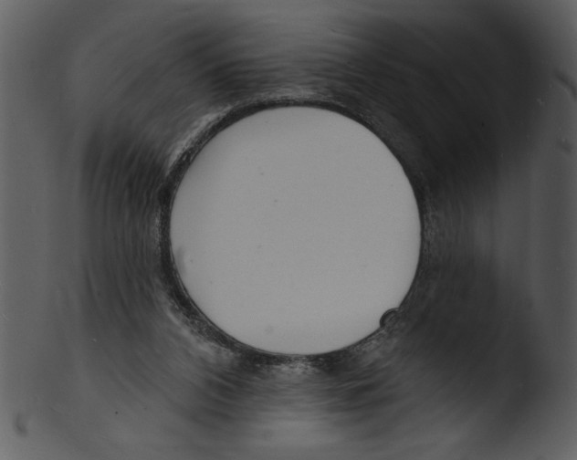 X0000103240112200809251337