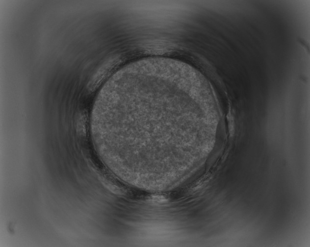 X0000103240114200809251337