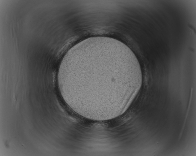 X0000103240115200809251337