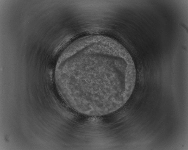 X0000103240117200809251337