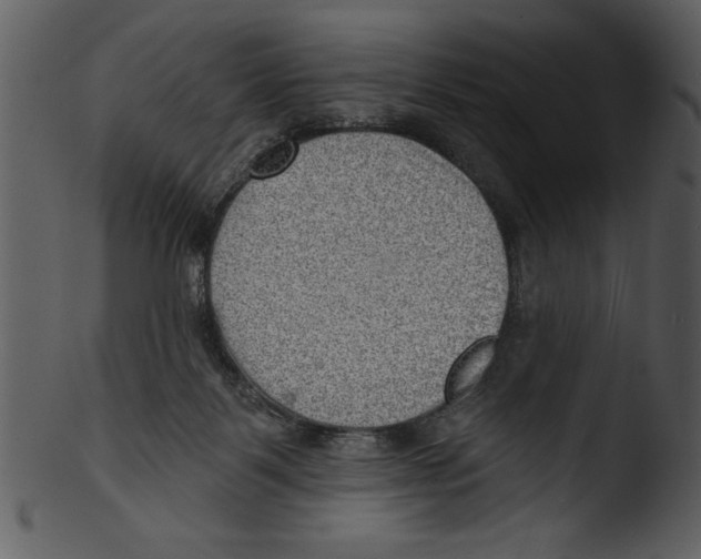 X0000103240123200809251336