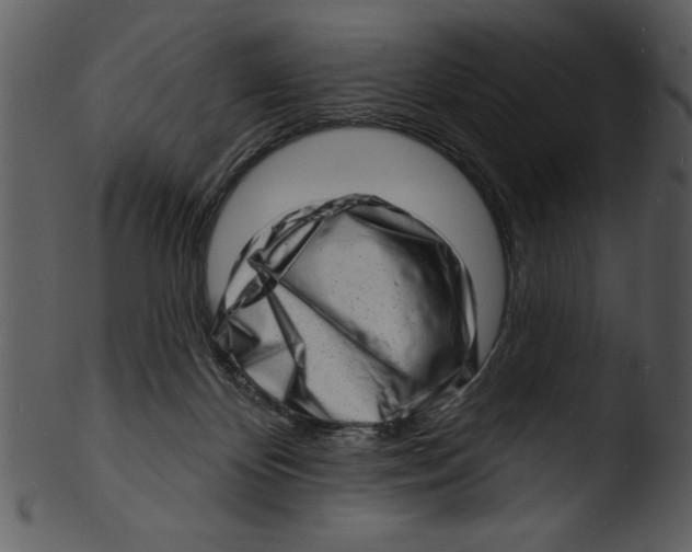 X0000103240124200809251336