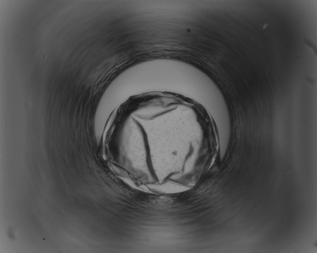 X0000103240125200809251336