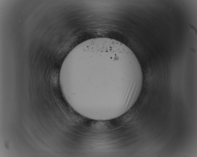 X0000103240129200809251336