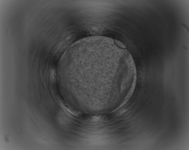 X0000103240130200809251336