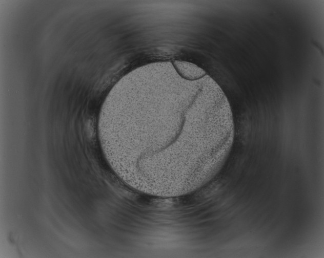 X0000103240131200809251336