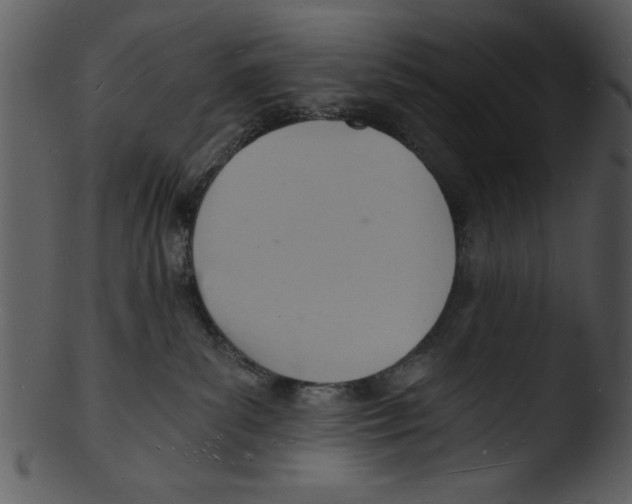 X0000103240139200809251336