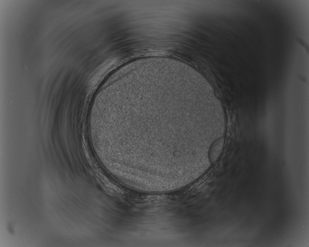 X0000103240145200809251335