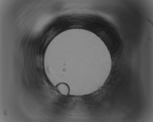 X0000103240146200809251335