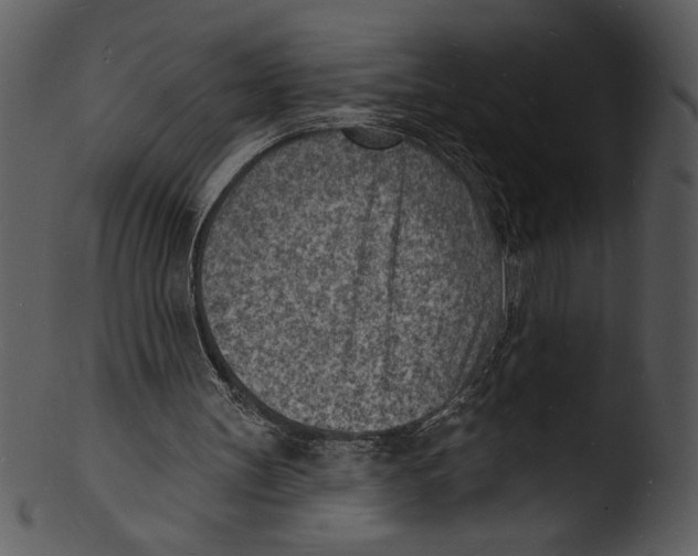 X0000103240147200809251335