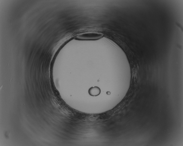 X0000103240148200809251335