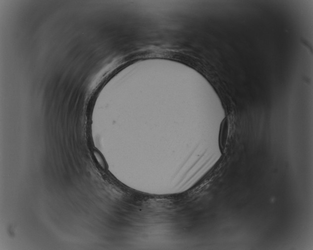 X0000103240150200809251335