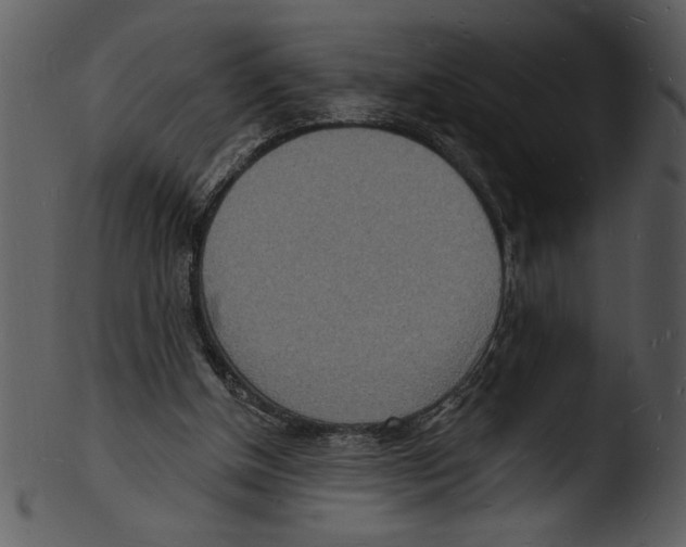 X0000103240154200809251335