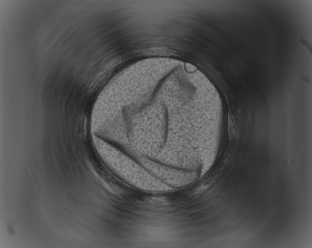 X0000103240157200809251335