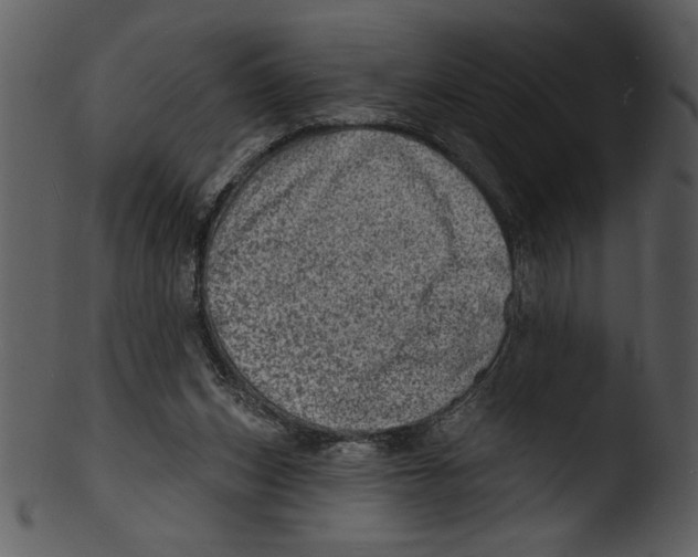 X0000103240159200809251336