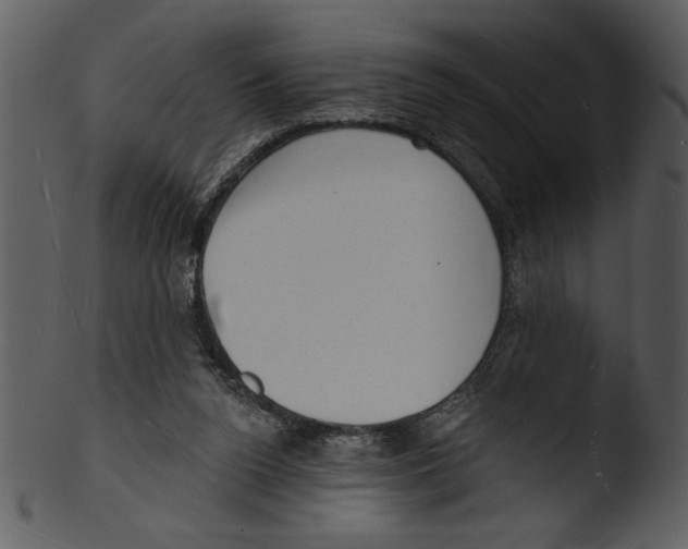 X0000103240160200809251336