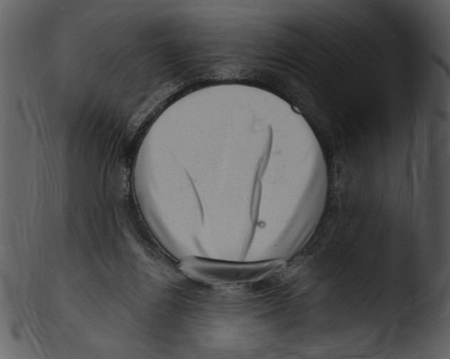 X0000103240164200809251336