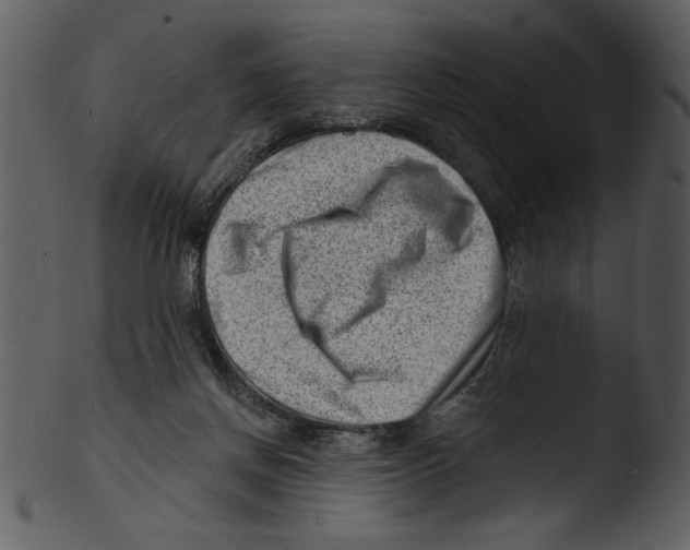 X0000103240166200809251336