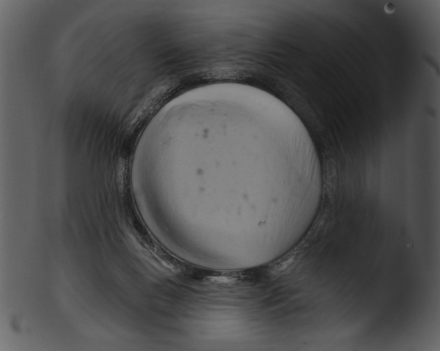 X0000103240167200809251336