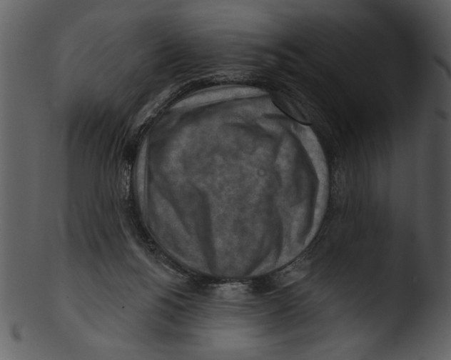 X0000103240168200809251336